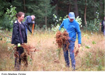 Wilder Baumwuchs muss raus