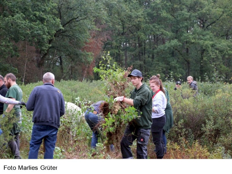 Aktiv den Hanfteich erhalten