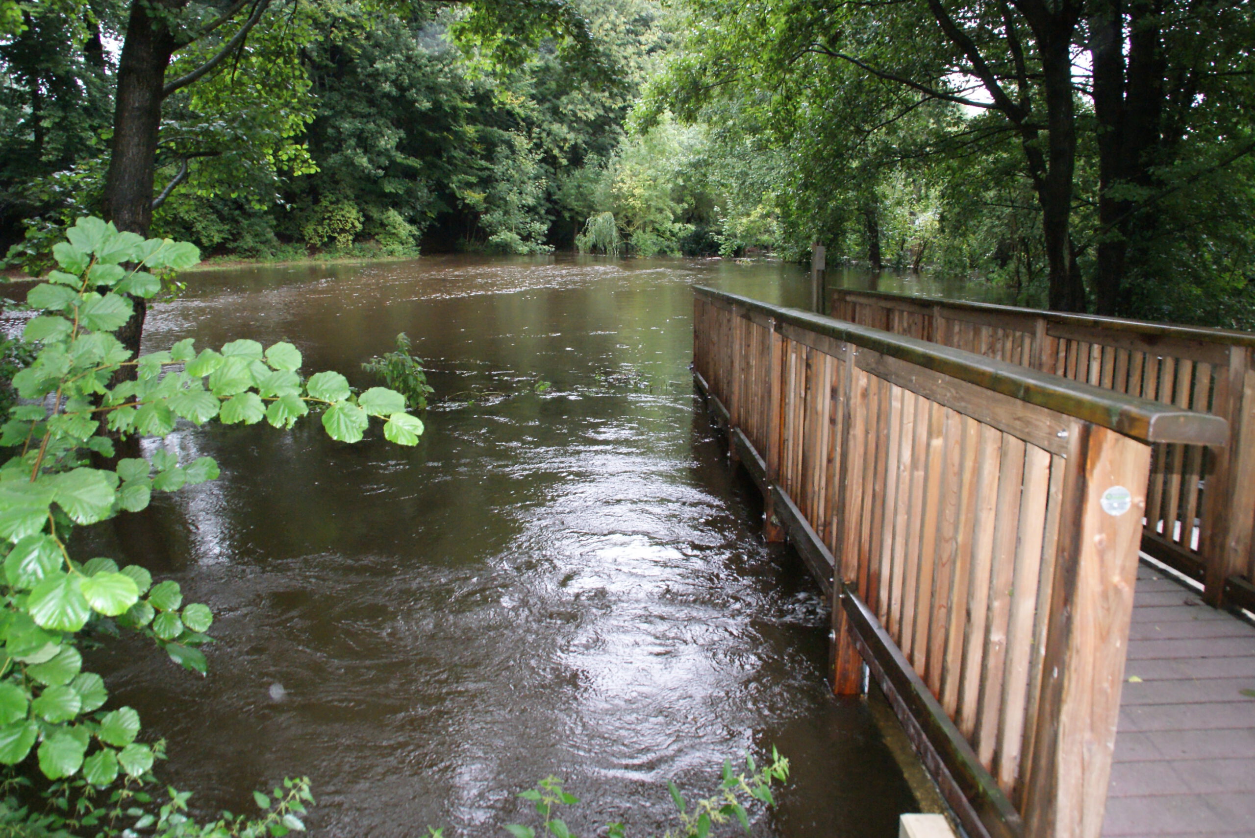 Hochwasser am Mühlenbach