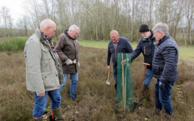 Wacholder kehrt zurück nach Bertlings Haar