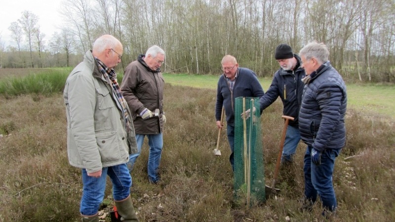 Wacholder kehrt zurück nach Bertlings Haar