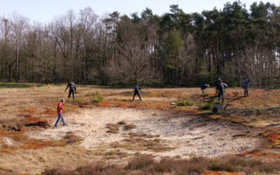 Naturschutzaktion in Bertlings Haar