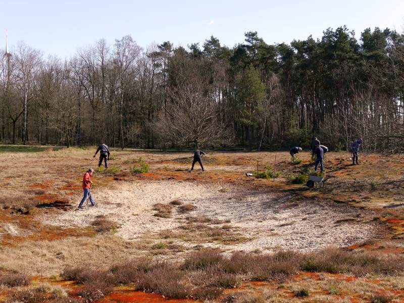 Naturschutzaktion in Bertlings Haar