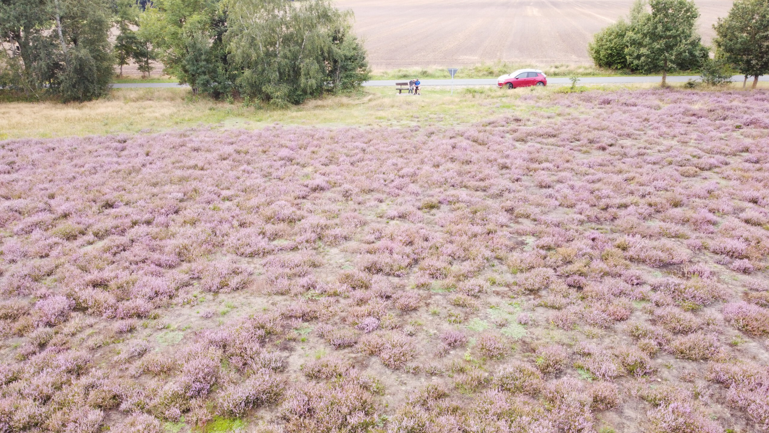 Bertlings Haar