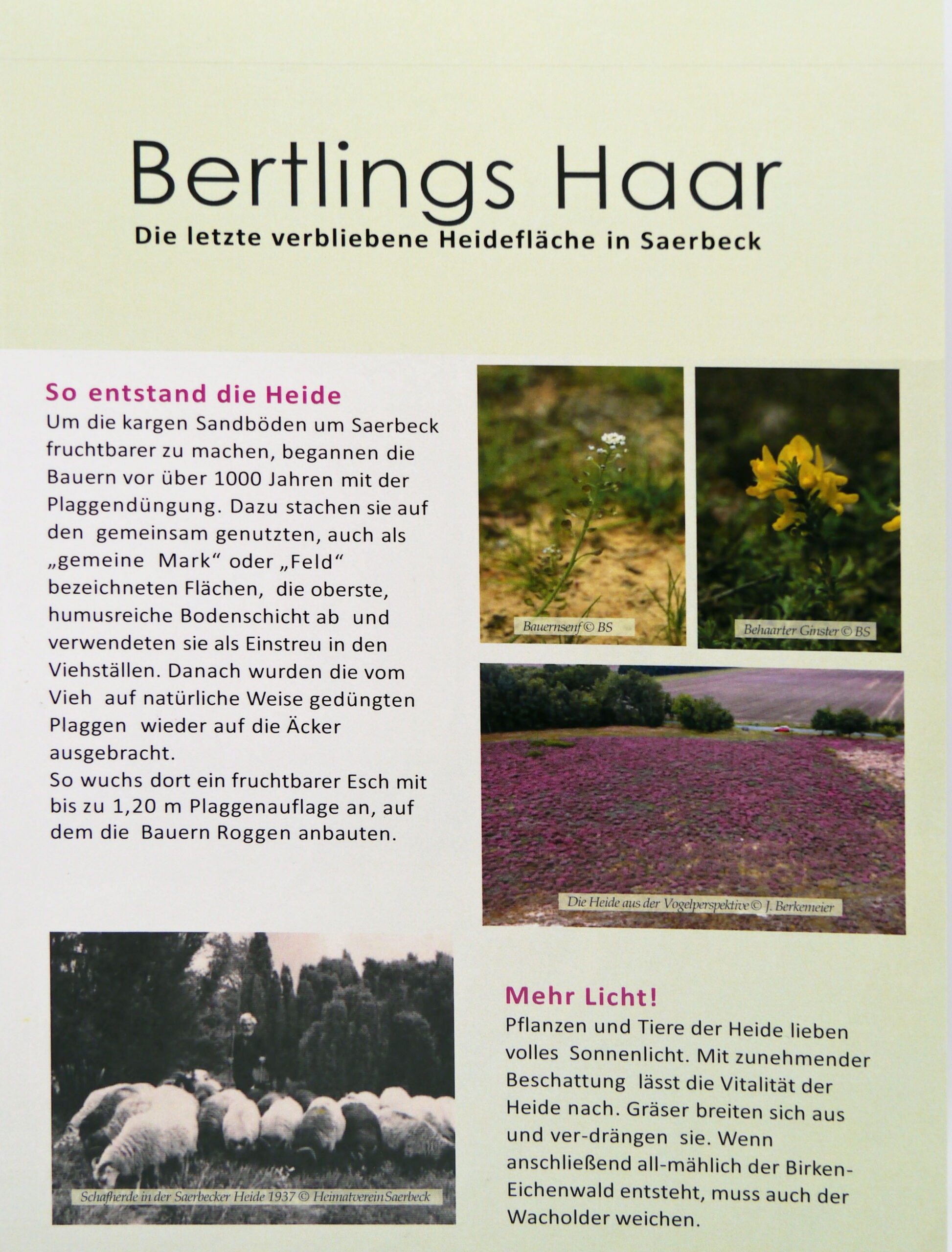 Bertlings Haar