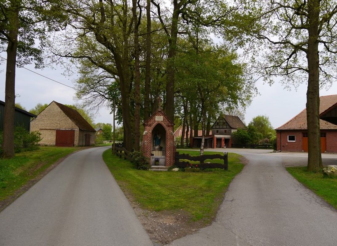 Plaggen-Bild-1