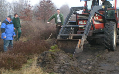 Projekt Heide und Hanfteichpflege