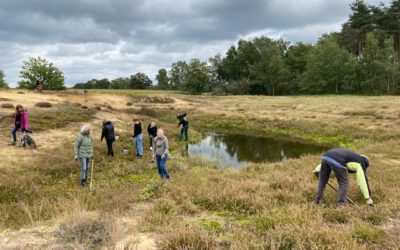 Aktion Heidepflege Bertlings Haar