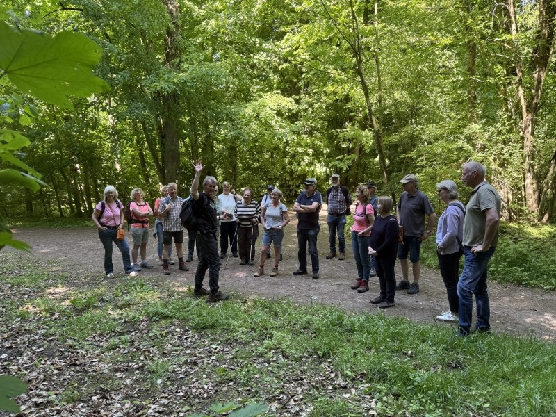 Waldmeister-Wanderung vom Heimatverein Saerbeck