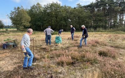 Heidepflege bei Bertlings Haar