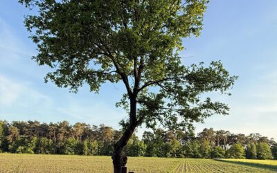 Einweihung des Denkmals im Birgter Feld am Dienstag 7. Juli 2026