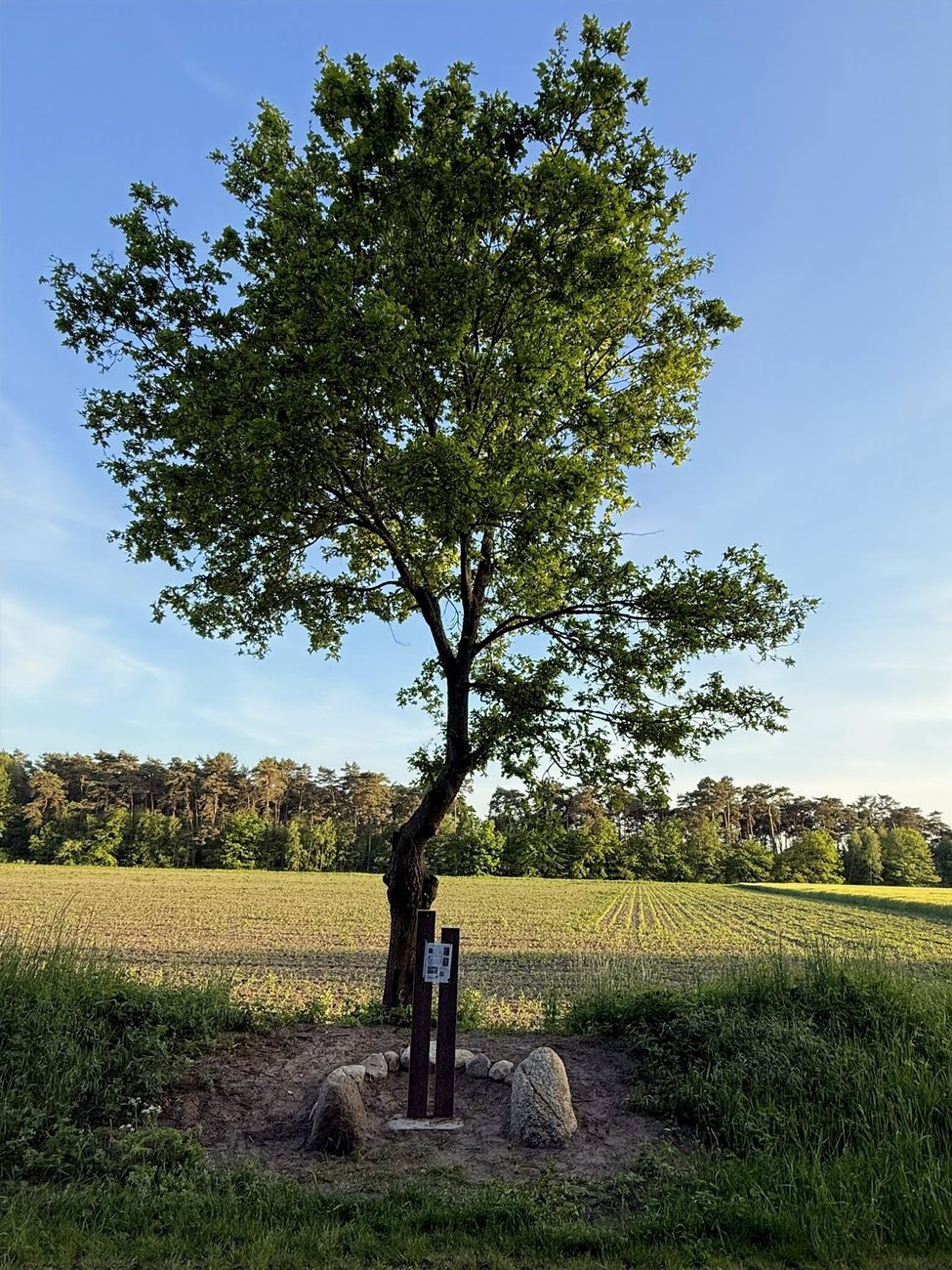Das neue Denkmal im Birgter Feld